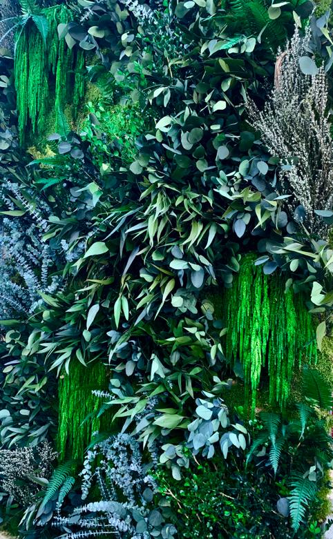 florabora mur vegetal pepiniere mabani.info mabani.ma
